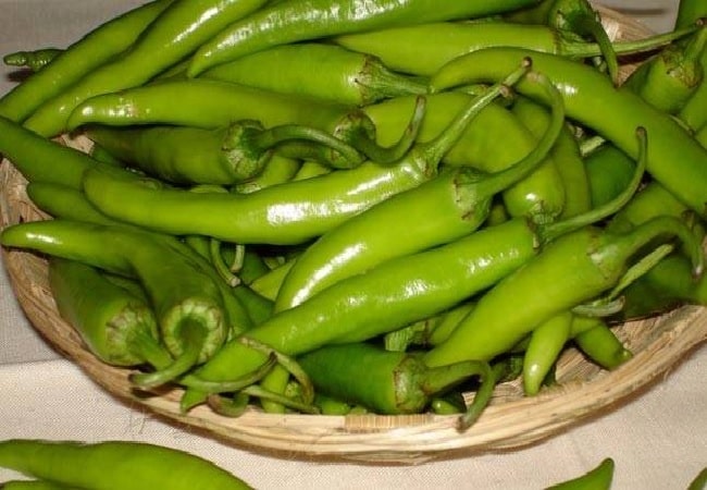 green chilli